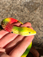 Load image into Gallery viewer, Plastic Snake