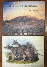 Load image into Gallery viewer, Book Box Tasmania 28x20.5x5 cm