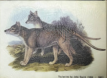 Load image into Gallery viewer, Book Box Tasmania 28x20.5x5 cm