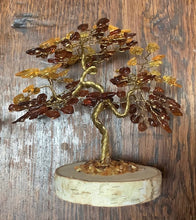 Load image into Gallery viewer, Tree Amber 12cm 135 stones