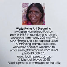 Load image into Gallery viewer, Cushion cotton 45x45cm Flying Ant Dreaming