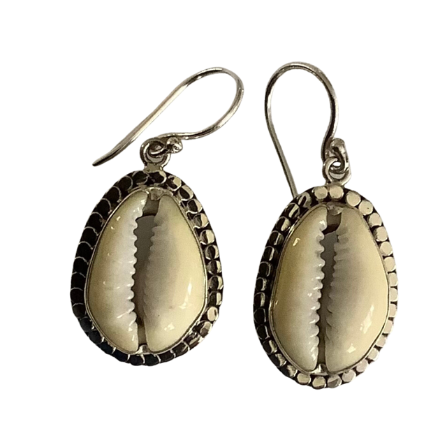 Earrings Sterling Silver Cowrie Shell with decorative surround