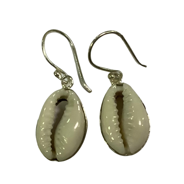 Earrings Sterling Silver Cowrie Shell with simple surround