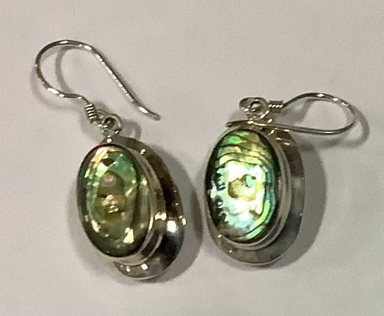 Earrings Sterling Silver Abalone with solid surround