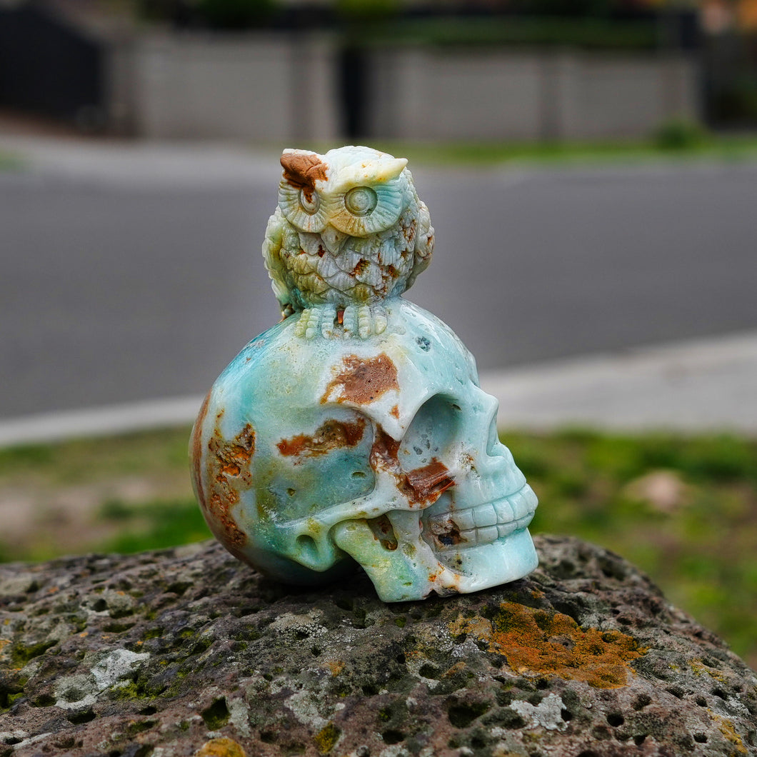 Amazonite Skull with Owl